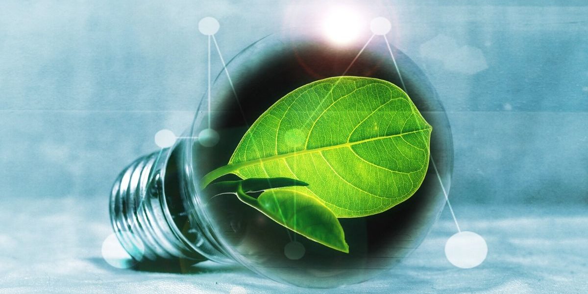 Bioökonomie in der Regionalen Innovationsstrategie 2021-2027