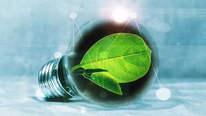 Bioökonomie in der Regionalen Innovationsstrategie 2021-2027