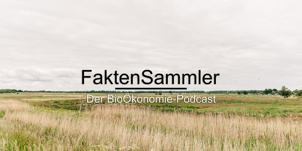 Faktensammler