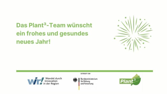 Neujahrsgruß-2
