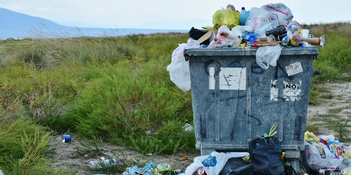 Mikroorganismen gegen den Plastikmüll