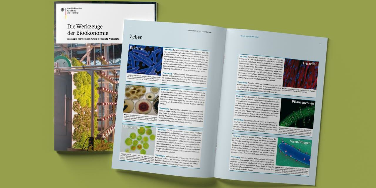 Werkzeuge-Biooekonomie_Slider_1280x720
