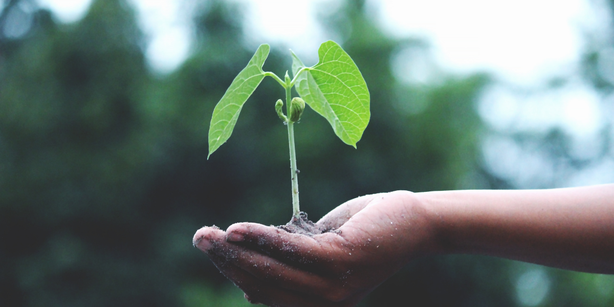 Jugendforum_Biooekonomie