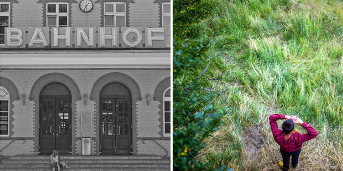 WiWo Beitrag