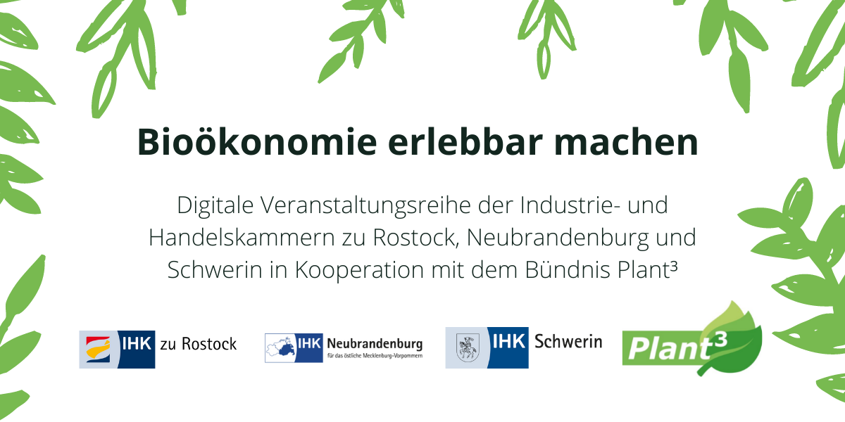 Webinar_IKHs_Plant3