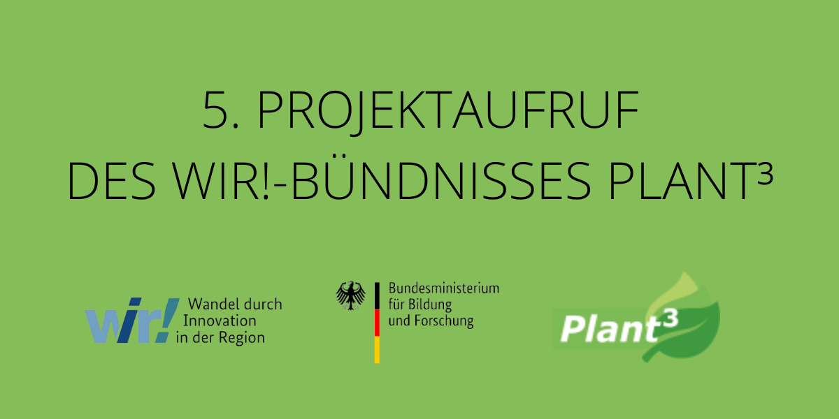 5. Projektaufruf Plant³