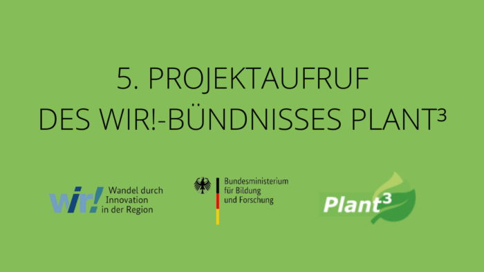 5. Projektaufruf Plant³