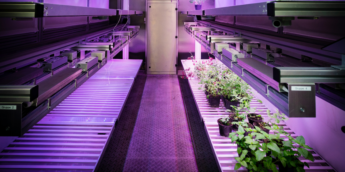 Master Bioeconomy