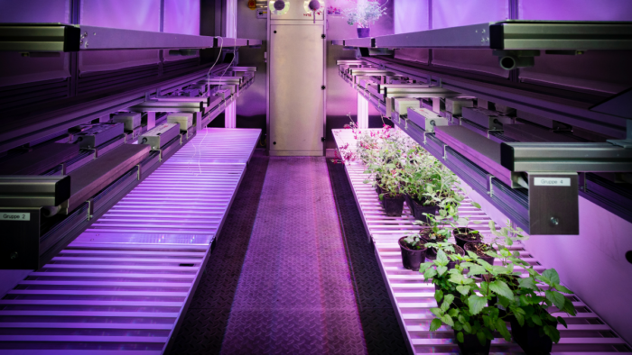 Master Bioeconomy