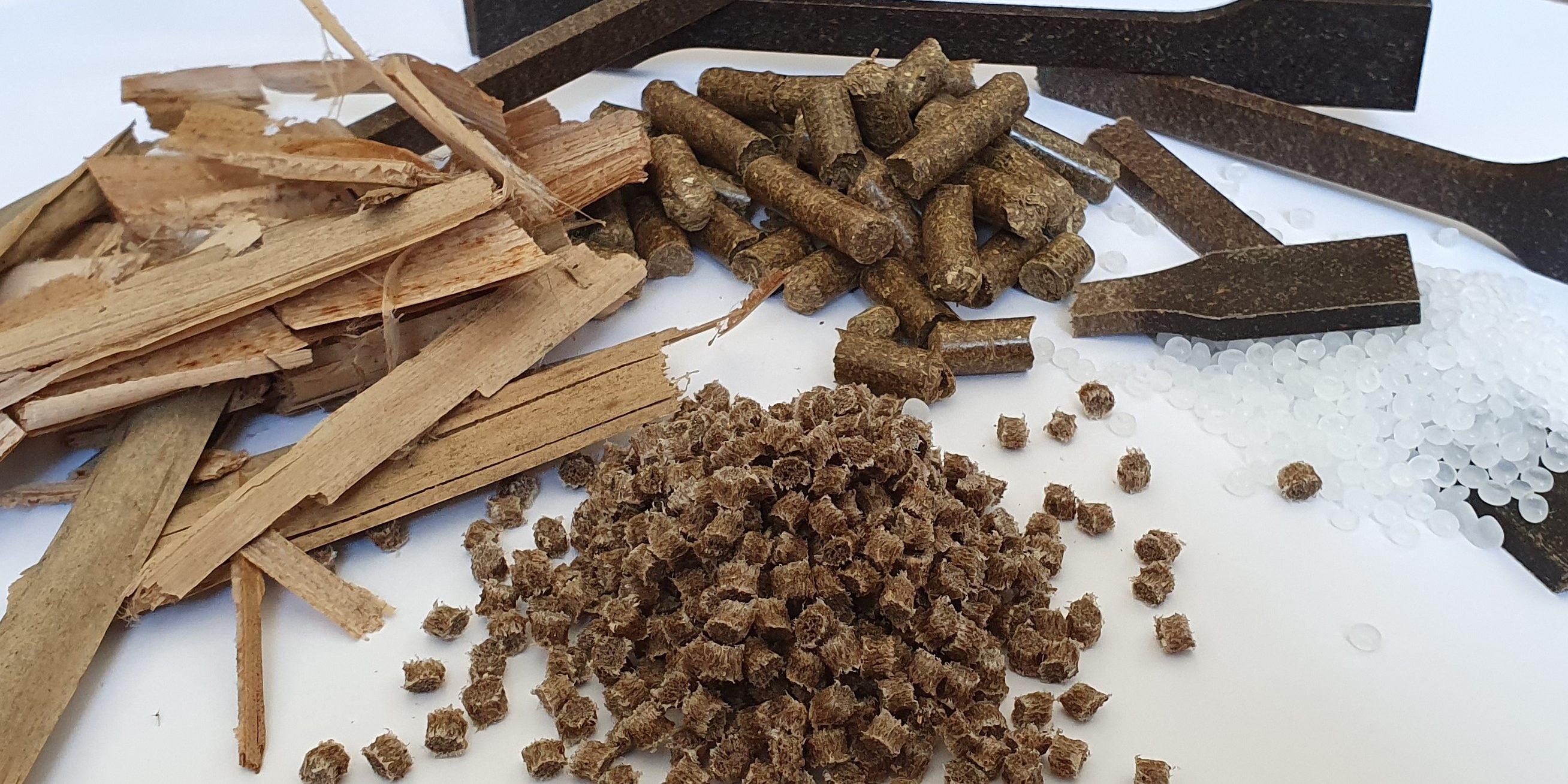 Paludi-Produkt_Plant³-Internetseite