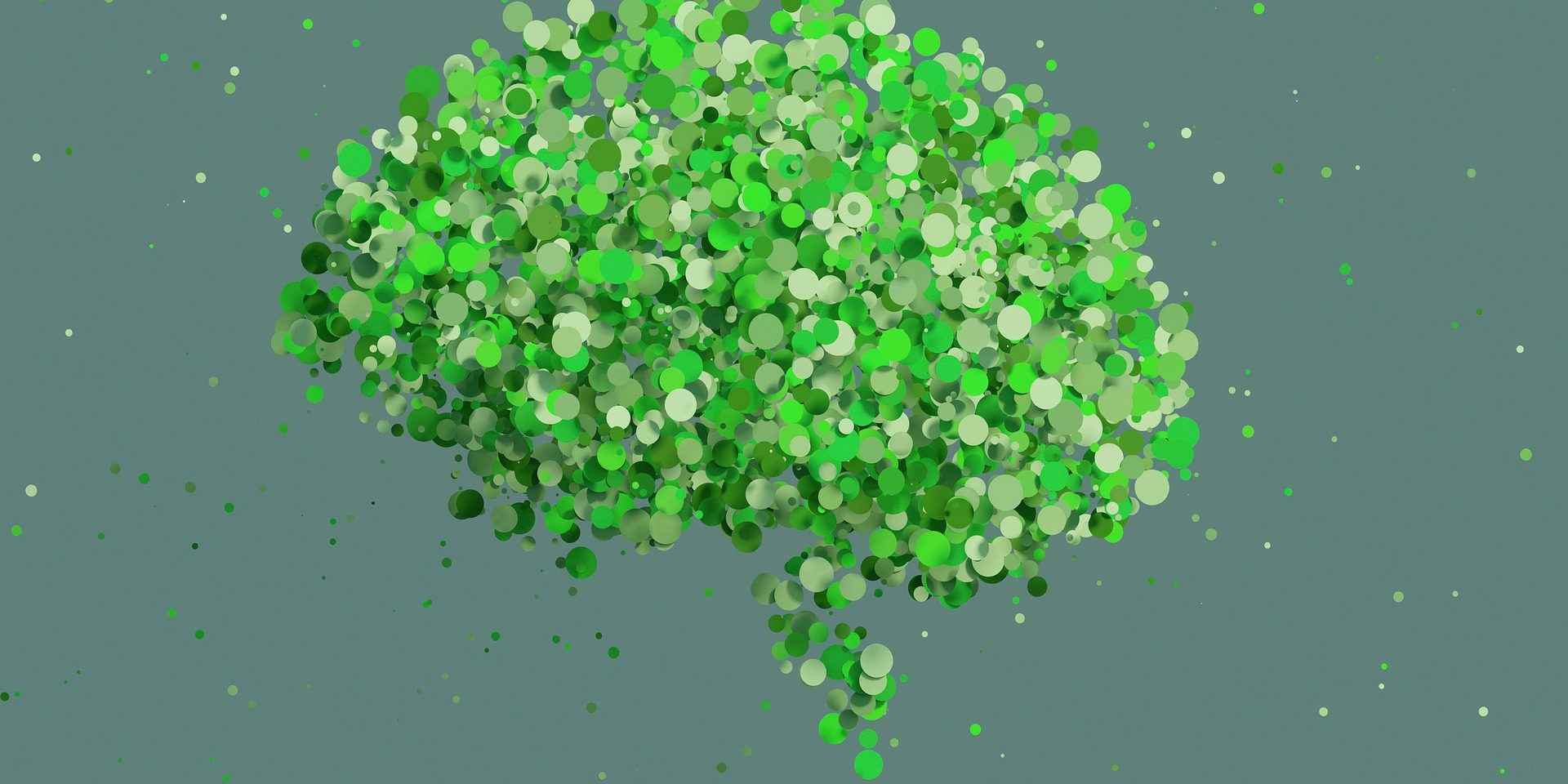 brain-g4dda4b384_1920