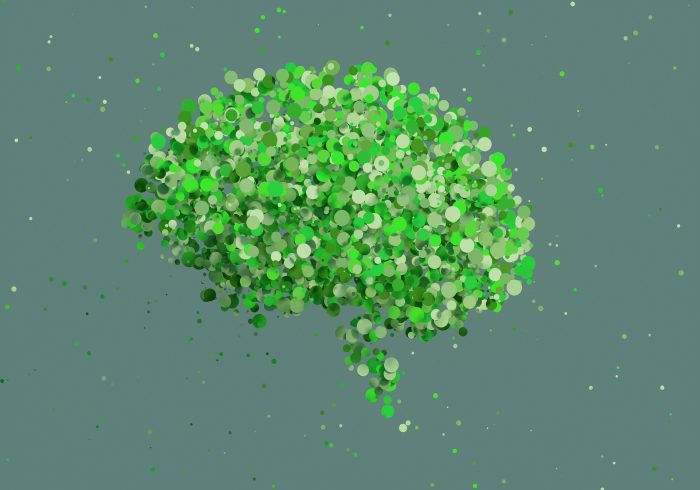 brain-g4dda4b384_1920