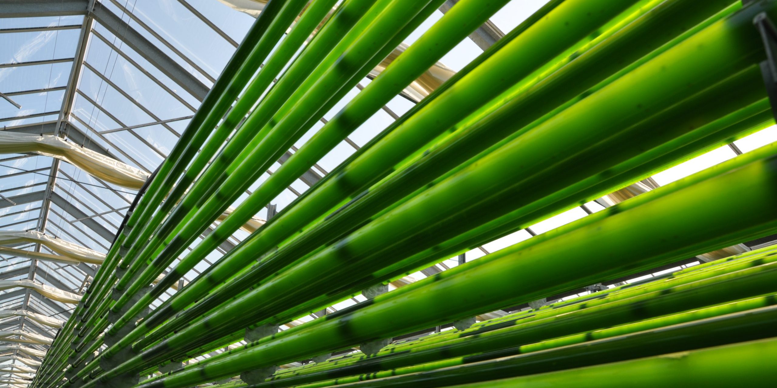 Plexim Foto INP Greifswald
