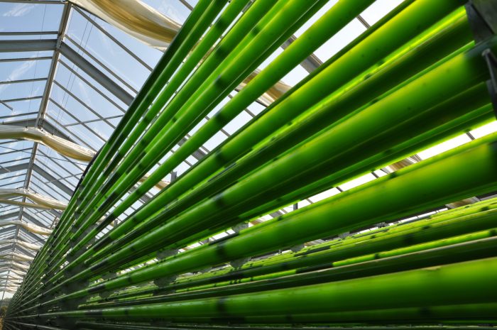 Plexim Foto INP Greifswald