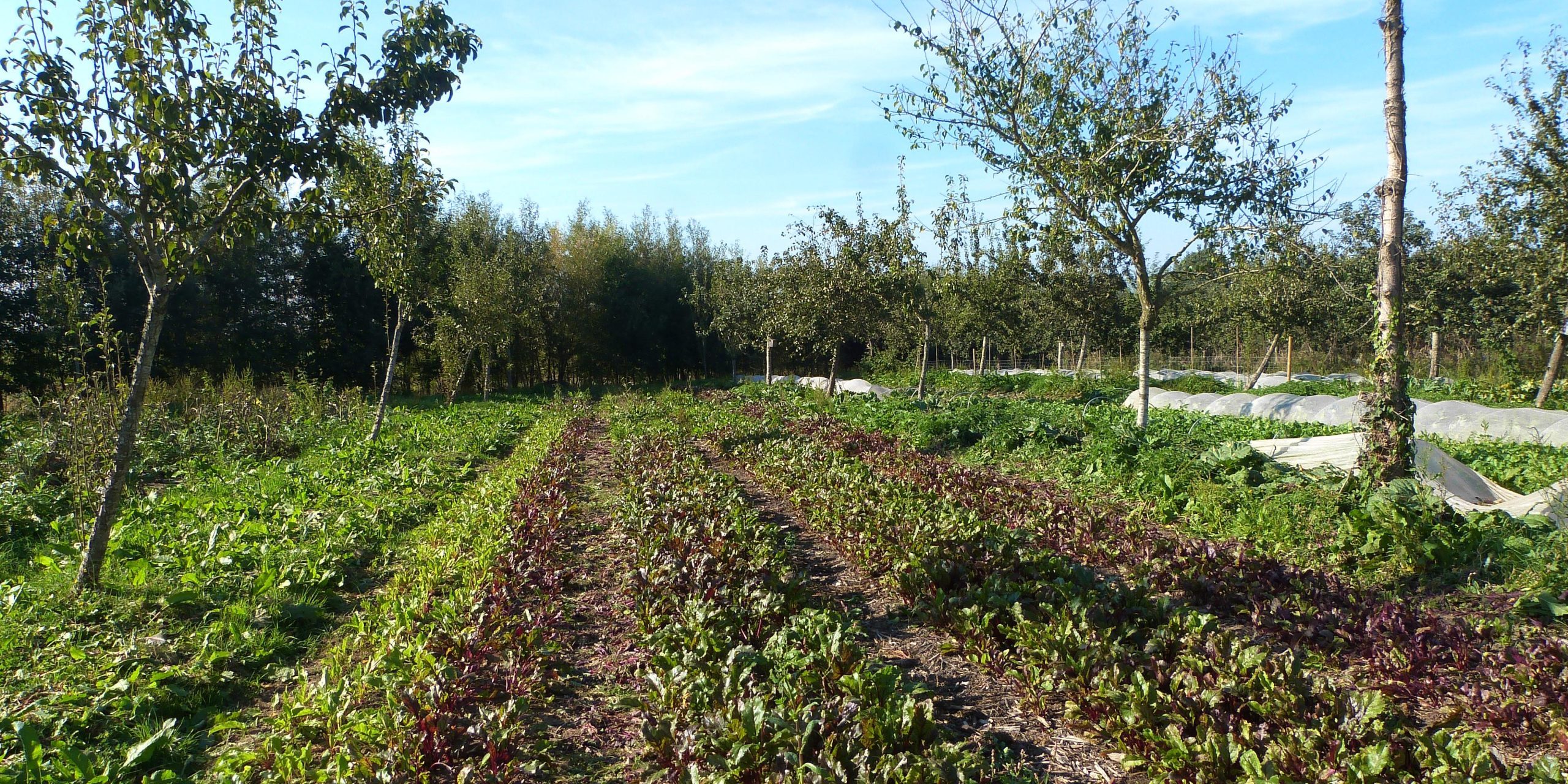 Gärtnerei Agroforst
