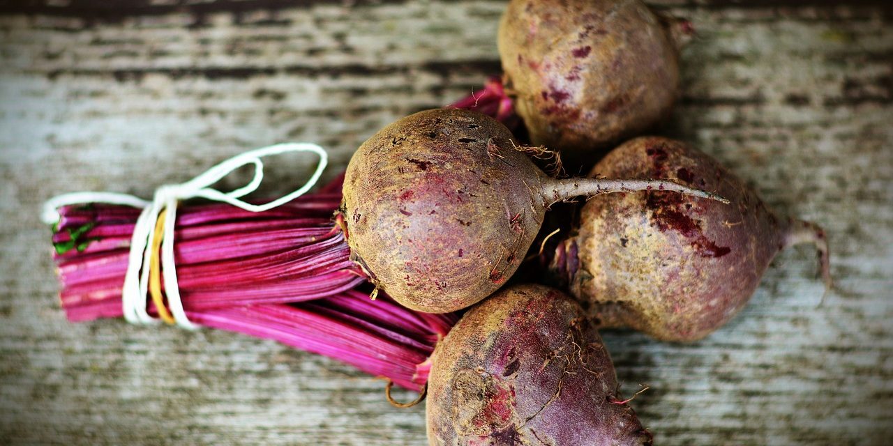 beetroot-3490809_1280