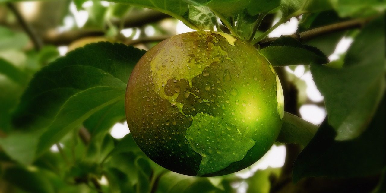 sustainability-3300898_1280
