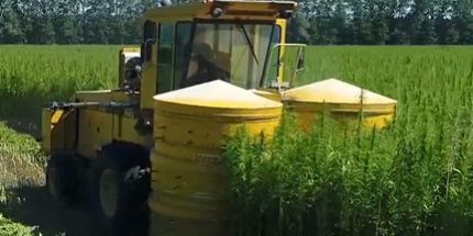 tragende_Hanfbauplatte_Quelle Hanffaser Uckermark