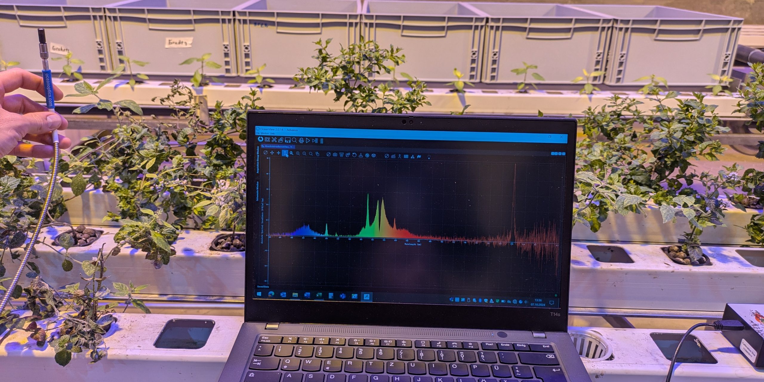 PXL_20241007_113623888.MP