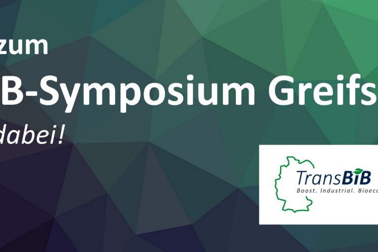 Einladung Symposium Greifswald 2025 Grafik TransBIB