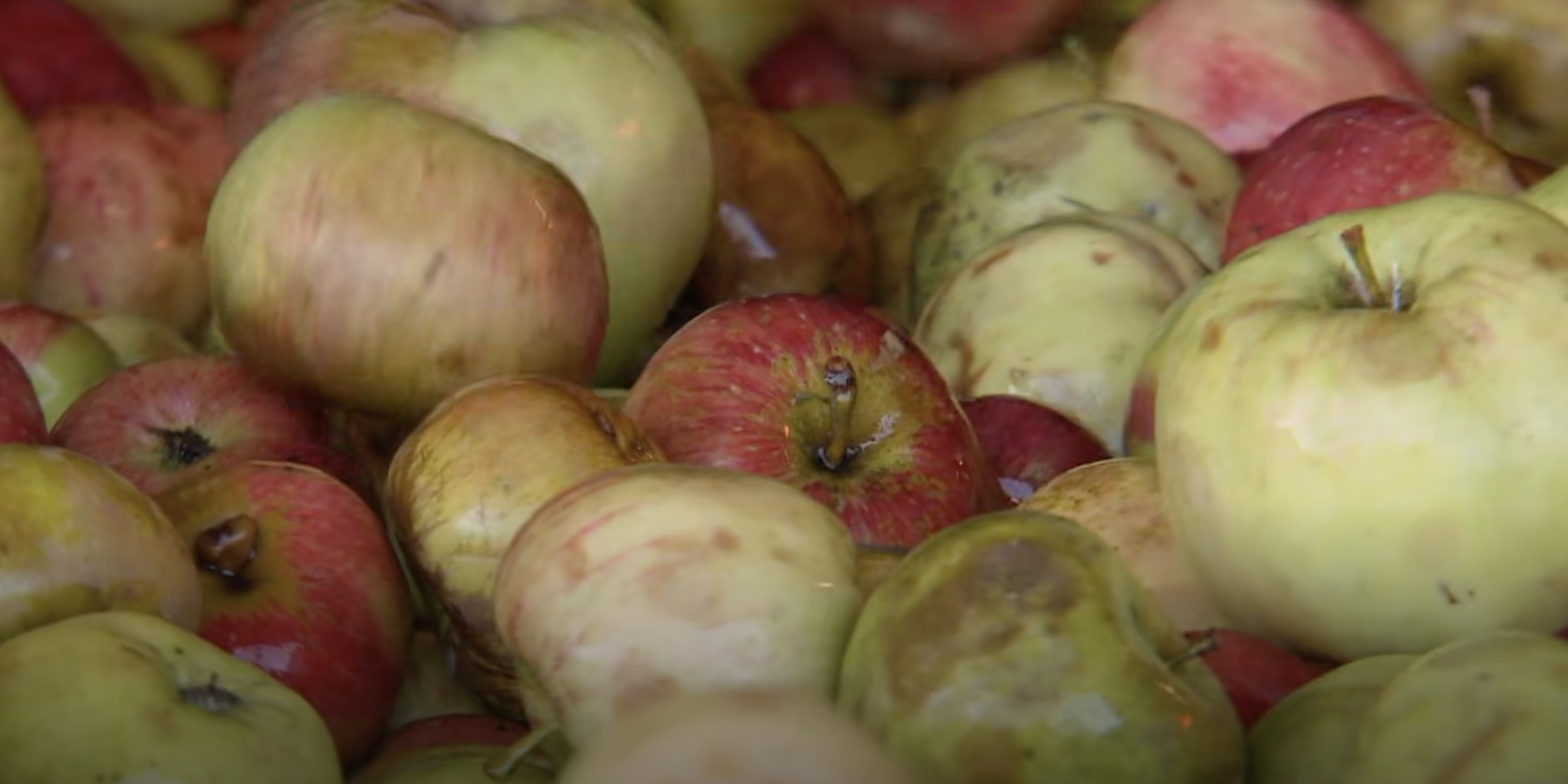 Bildschirmfoto 2025-10-21 um 12.56.18