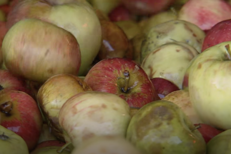 Bildschirmfoto 2025-10-21 um 12.56.18